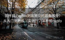 茶杯狐 cupfox到底常见问题有哪些？从入门到熟练（实测），茶杯狐cupfox官方