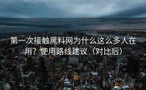第一次接触<strong>黑料网</strong>为什么这么多人在用？使用路线建议（对比后）