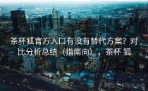 茶杯狐官方入口有没有替代方案？对比分析总结（指南向），茶杯 狐