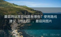 蘑菇网站常见问题有哪些？使用路线建议（对比后），蘑菇网图片
