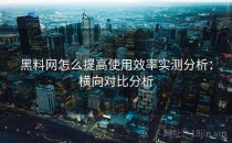 <strong>黑料网</strong>怎么提高使用效率实测分析：横向对比分析