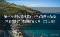 第一次接触茶杯狐cupfox官网电脑端体验如何？体验报告分享（对比后）