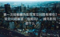 第一次接触蜂鸟影院常见问题有哪些？常见问题解答（指南向），蜂鸟影院是什么