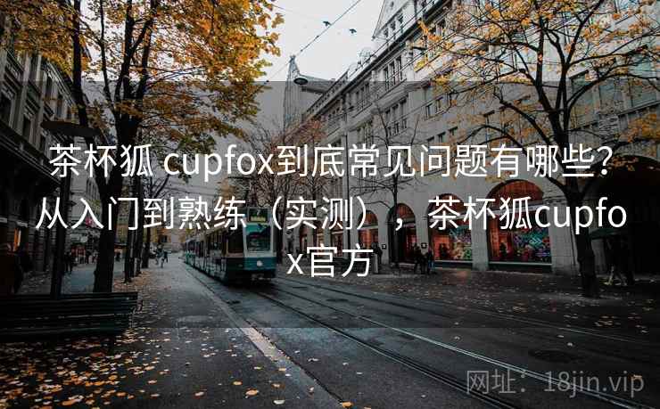茶杯狐 cupfox到底常见问题有哪些？从入门到熟练（实测），茶杯狐cupfox官方  第1张