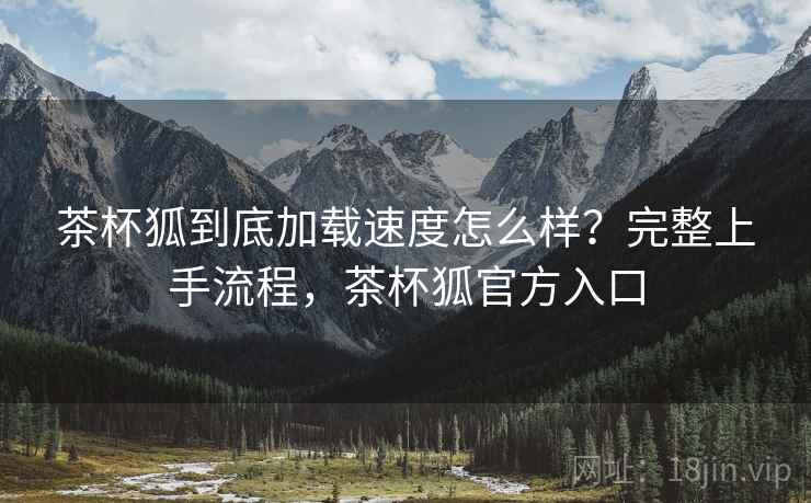 茶杯狐到底加载速度怎么样？完整上手流程，茶杯狐官方入口  第2张