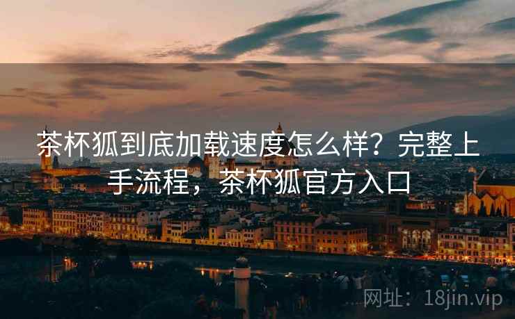 茶杯狐到底加载速度怎么样？完整上手流程，茶杯狐官方入口  第1张