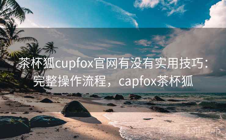 茶杯狐cupfox官网有没有实用技巧：完整操作流程，capfox茶杯狐  第1张