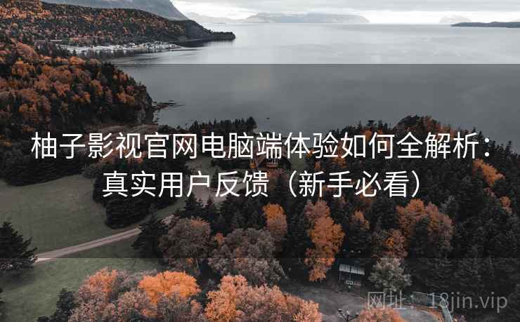 柚子影视官网电脑端体验如何全解析：真实用户反馈（新手必看）  第2张